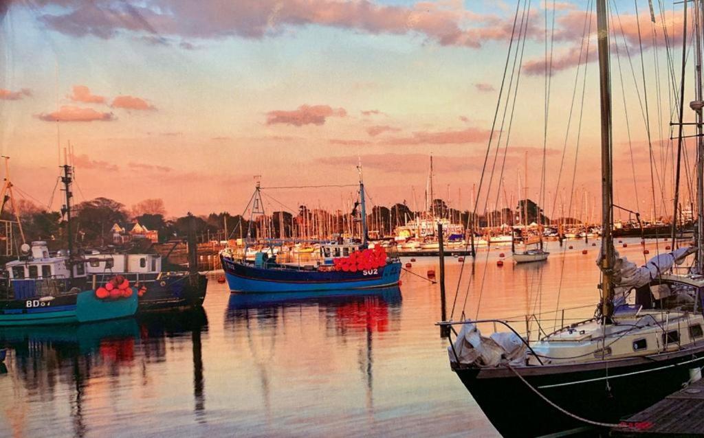 Shorefield Country Park, Where The New Forest Meets The Sea, Passes For All Entertainment Included Milford on Sea Zewnętrze zdjęcie