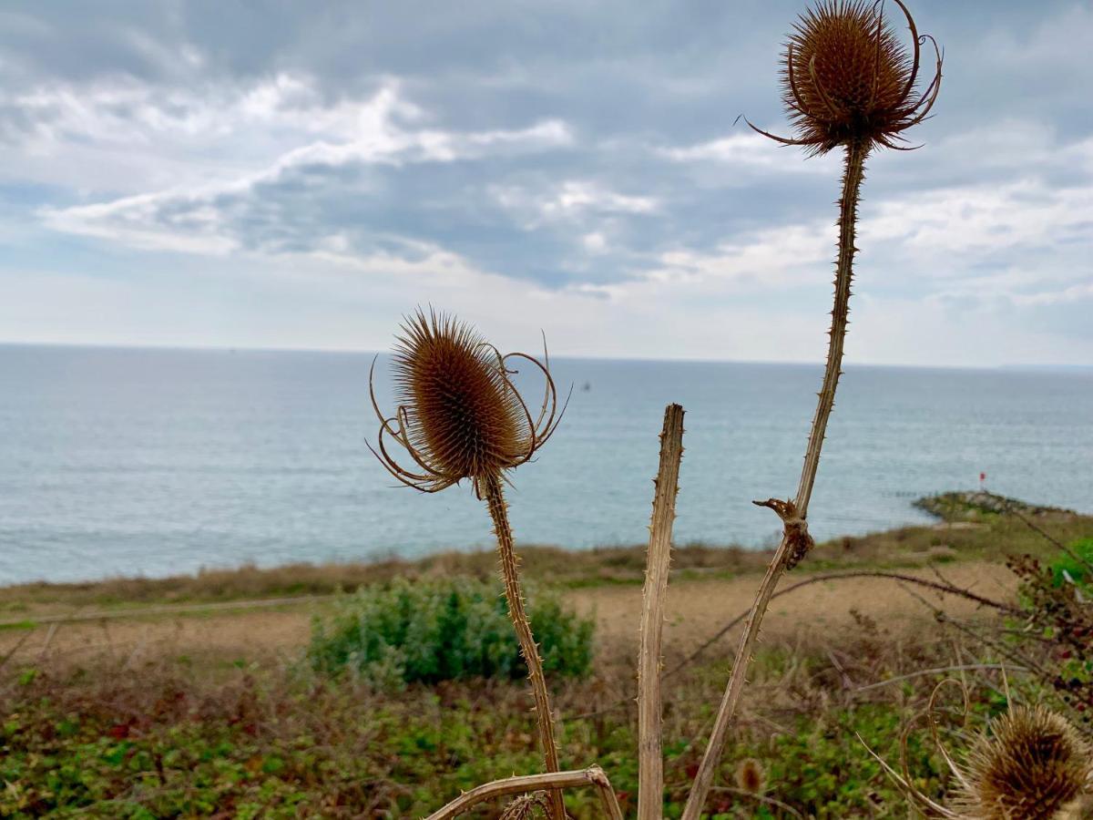 Shorefield Country Park, Where The New Forest Meets The Sea, Passes For All Entertainment Included Milford on Sea Zewnętrze zdjęcie