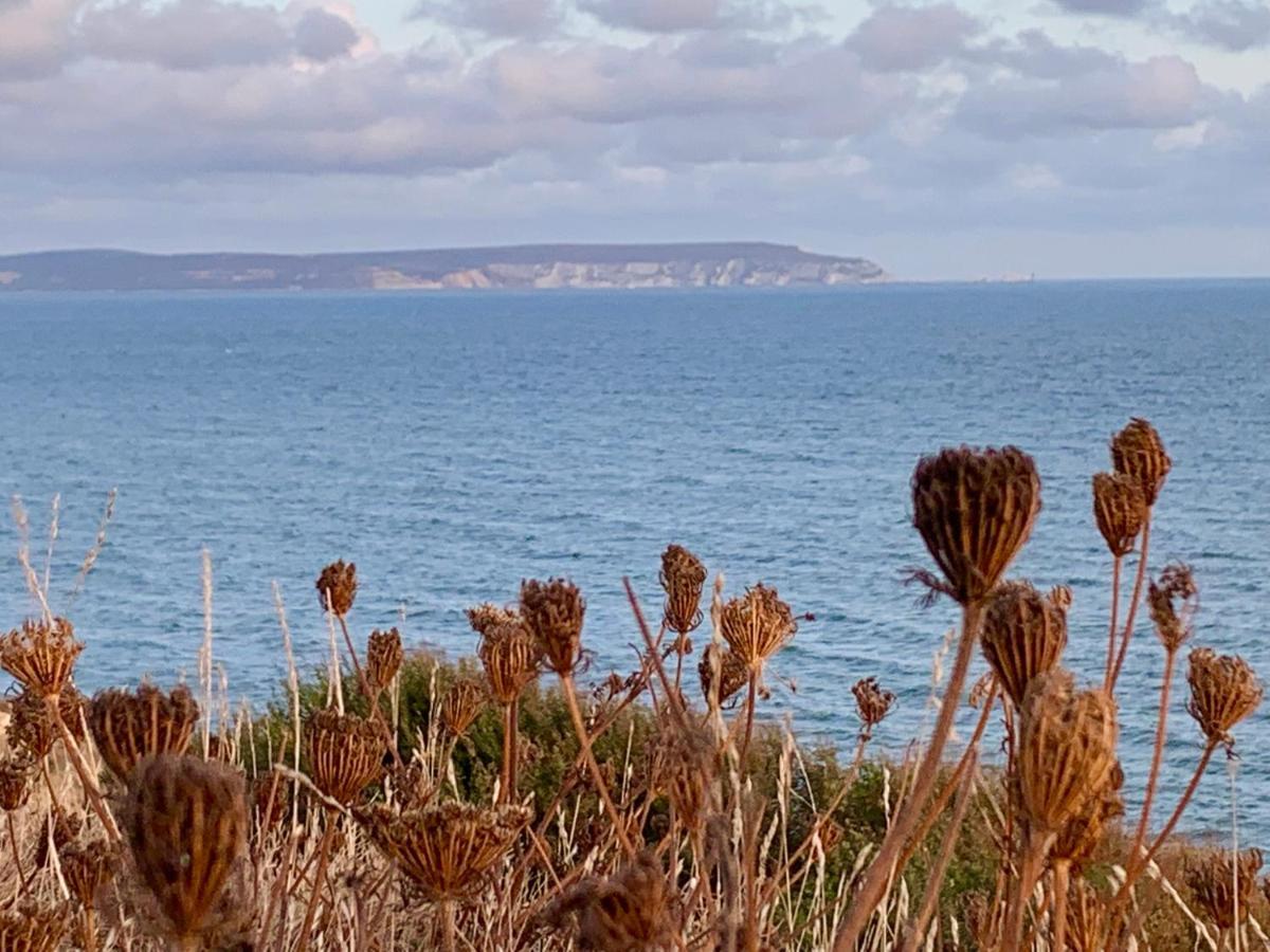 Shorefield Country Park, Where The New Forest Meets The Sea, Passes For All Entertainment Included Milford on Sea Zewnętrze zdjęcie