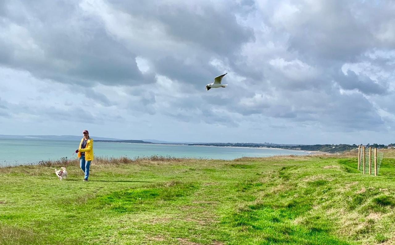 Shorefield Country Park, Where The New Forest Meets The Sea, Passes For All Entertainment Included Milford on Sea Zewnętrze zdjęcie