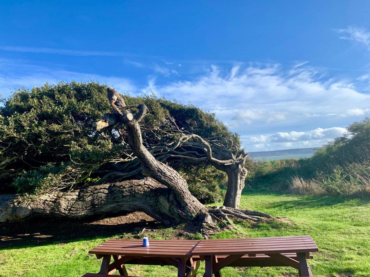 Shorefield Country Park, Where The New Forest Meets The Sea, Passes For All Entertainment Included Milford on Sea Zewnętrze zdjęcie